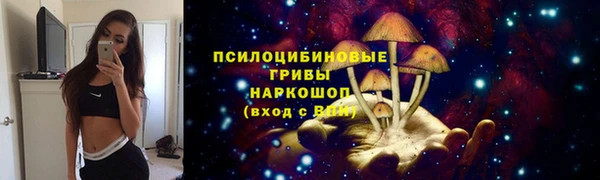 индика Покров