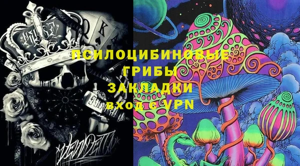 героин Покачи