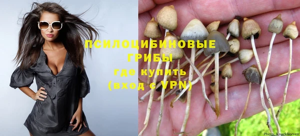 мет Баксан