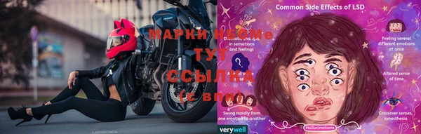 мет Баксан
